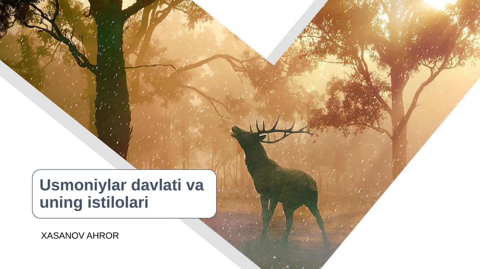 USMONIYLAR DAVLATINING TARIXI 1