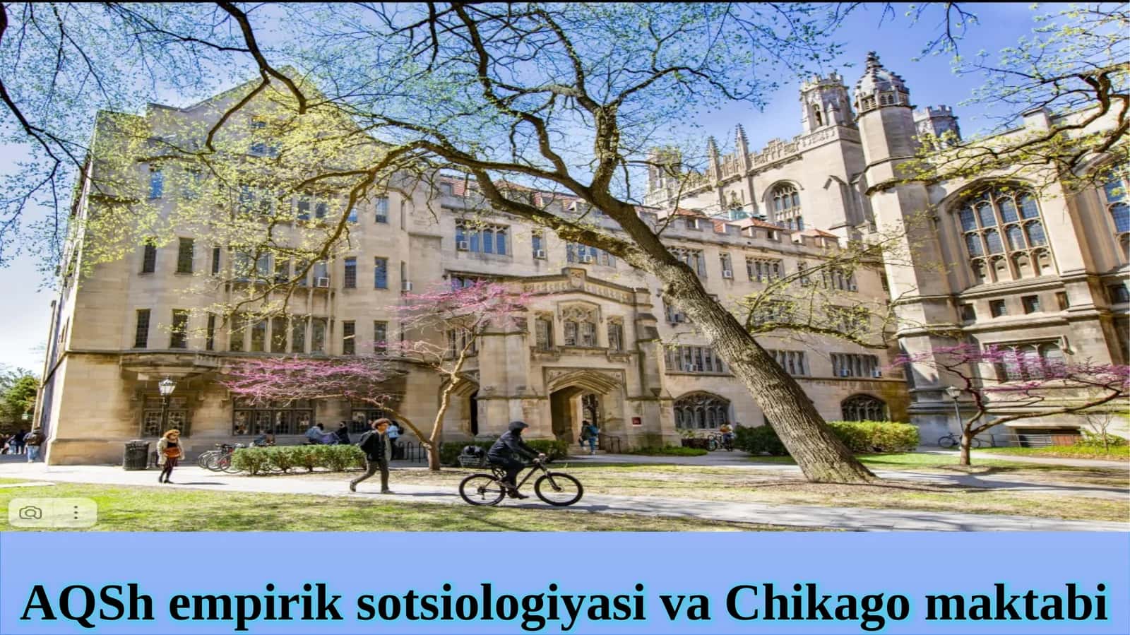 AQSh empirik sotsiologiyasi va Chikago maktabi 1
