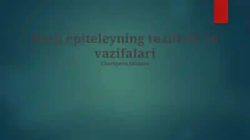 Stratifikatsiyalangan epiteliyning tuzilishi va vazifalari
