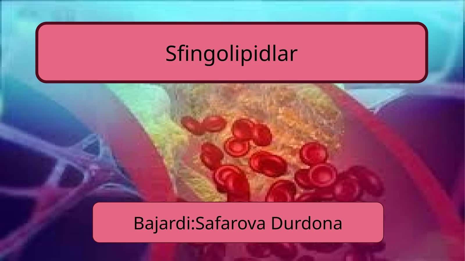 Sfingolipidlar 1