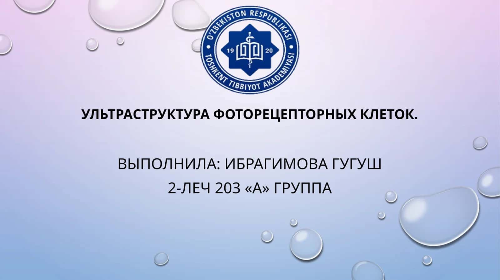 Ультраструктура фоторецепторных клеток 1