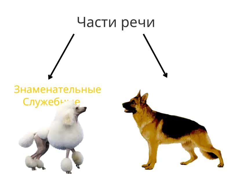Части речи 1