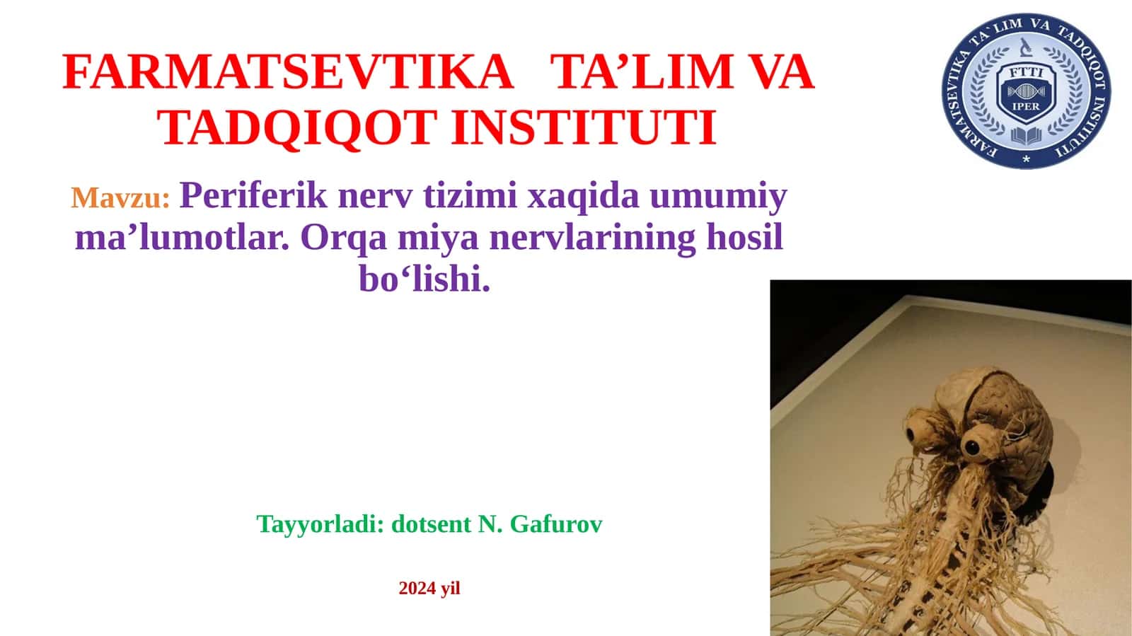 Periferik nerv tizimi xaqida umumiy ma’lumotlar 1