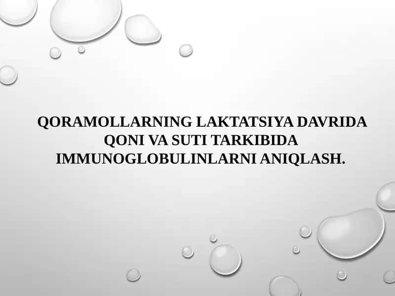 Tajribadagi sigirlar qoniga immunoglobulinlarni aniqlash 1