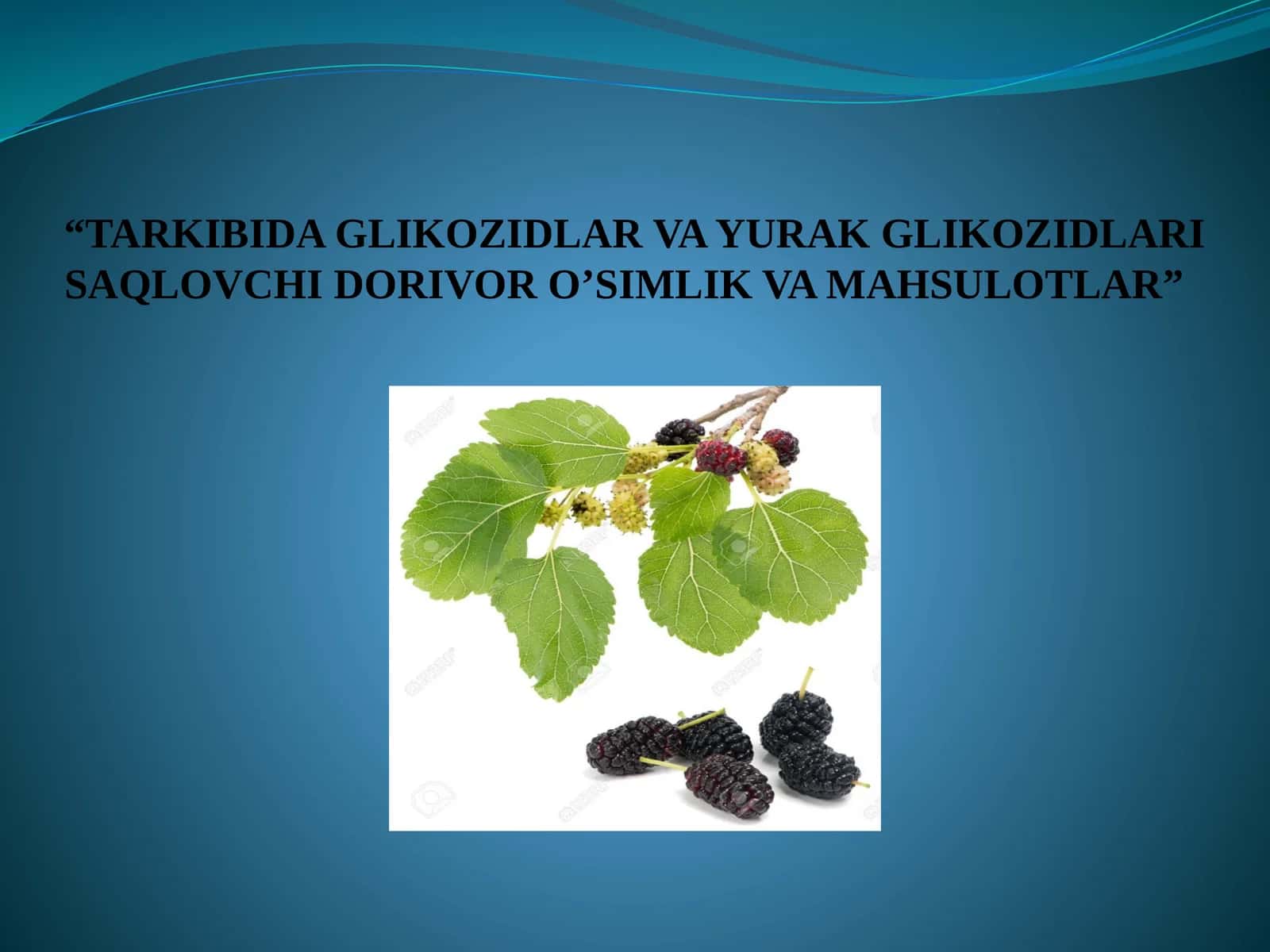 TARKIBIDA GLIKOZIDLAR VA YURAK GLIKOZIDLARI SAQLOVCHI DORIVOR O’SIMLIK VA MAHSULOTLAR 1