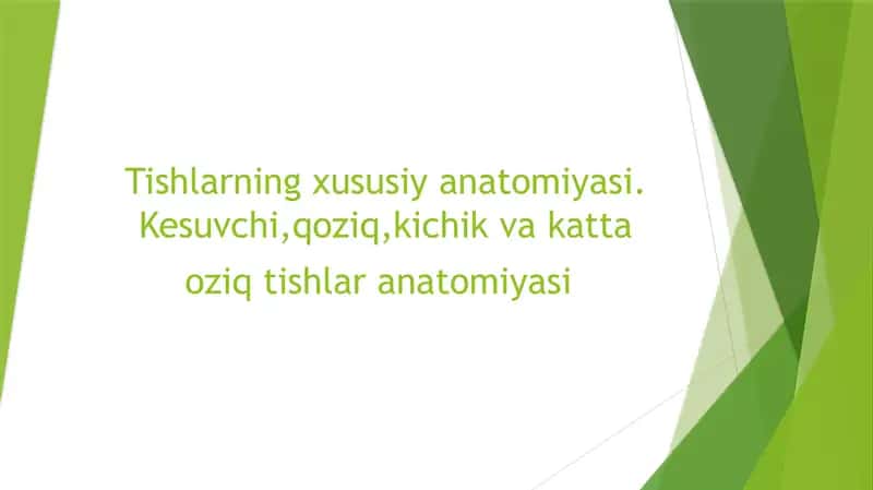 Tishlarning xususiy anatomiyasi 1