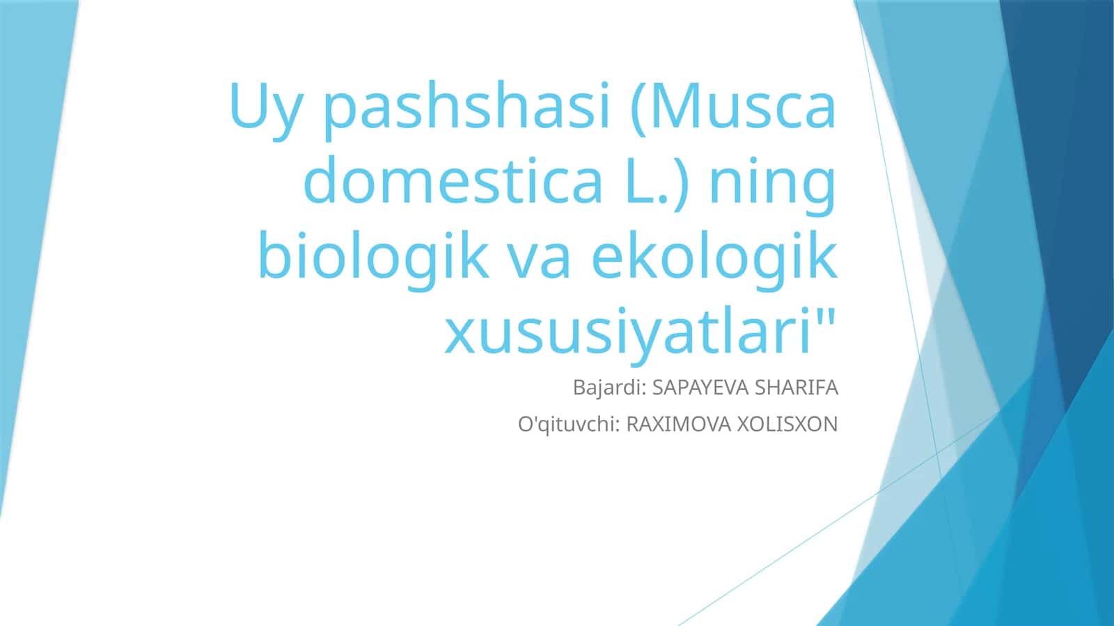 Uy pashshasi (Musca domestica L.) ning biologik va ekologik xususiyatlari 1