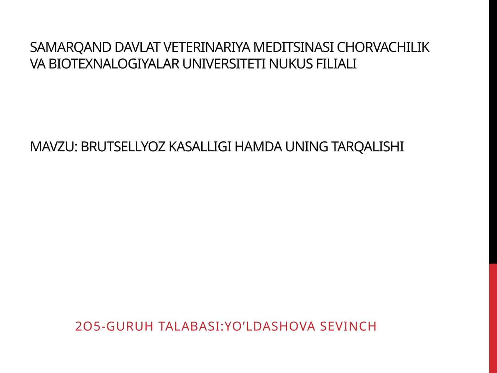Brutsellyoz 1