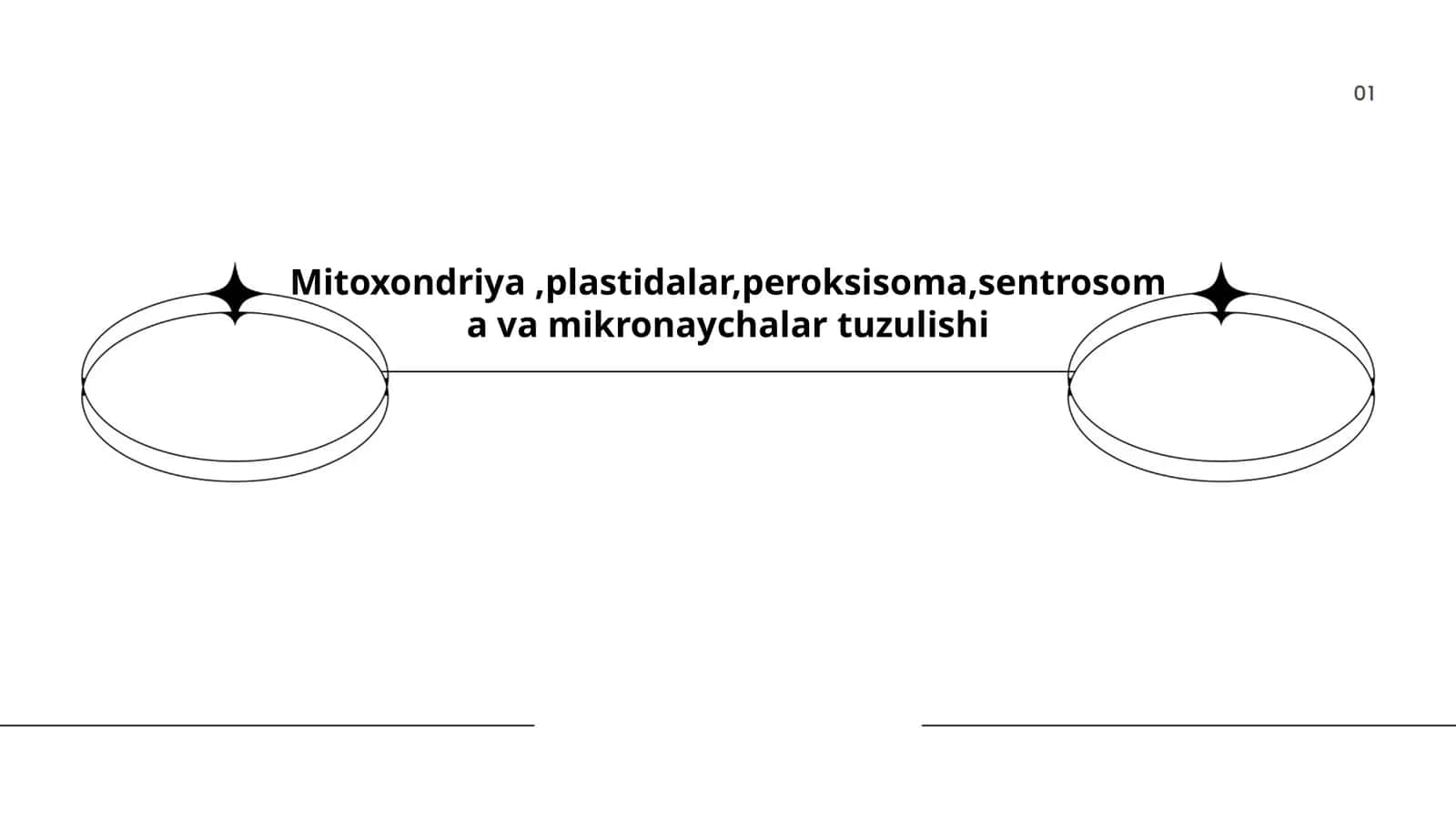 Mitoxondriyaning tuzilishi va funktsiyalari 1