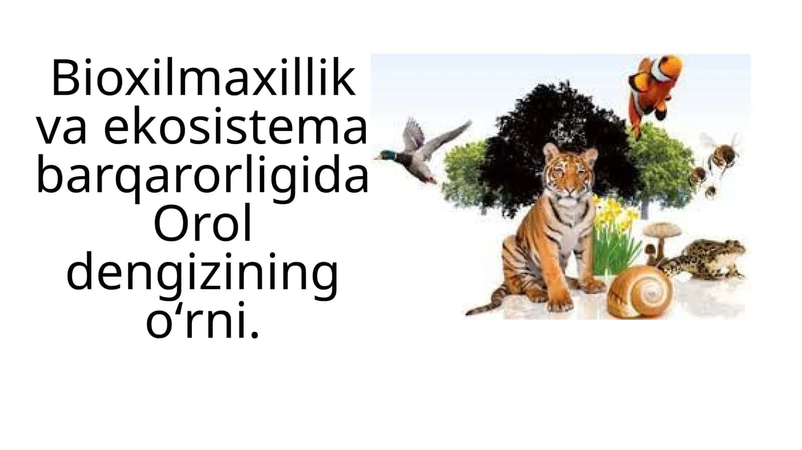 Bioxilmaxillik va ekosistema barqarorligida Orol dengizining oʻrni 1