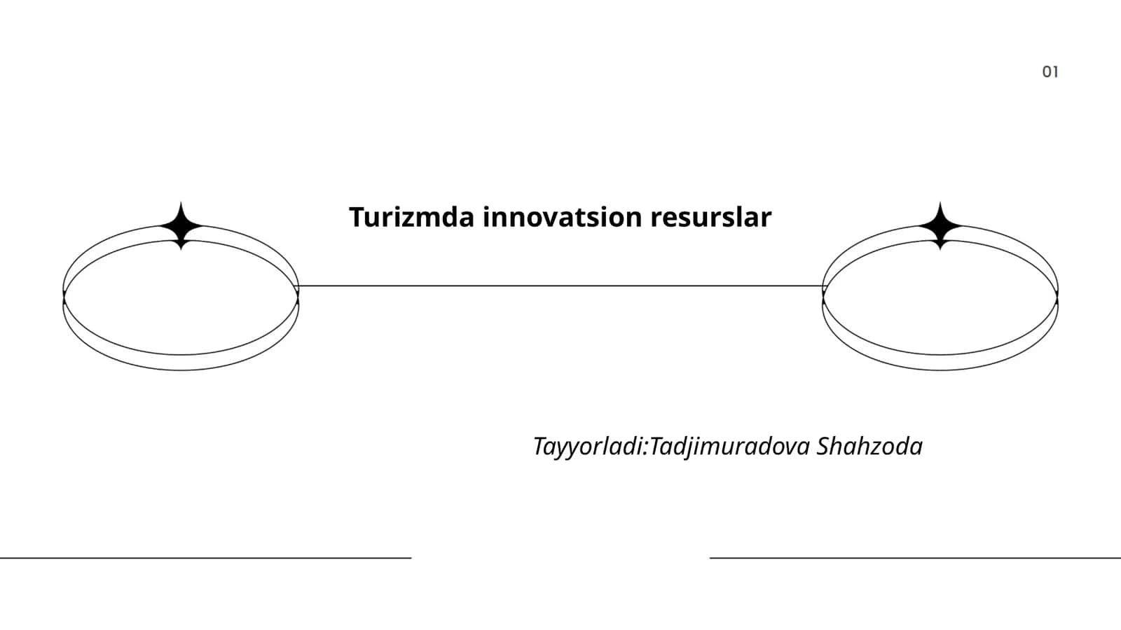 Turizmda innovatsion resurslar 1