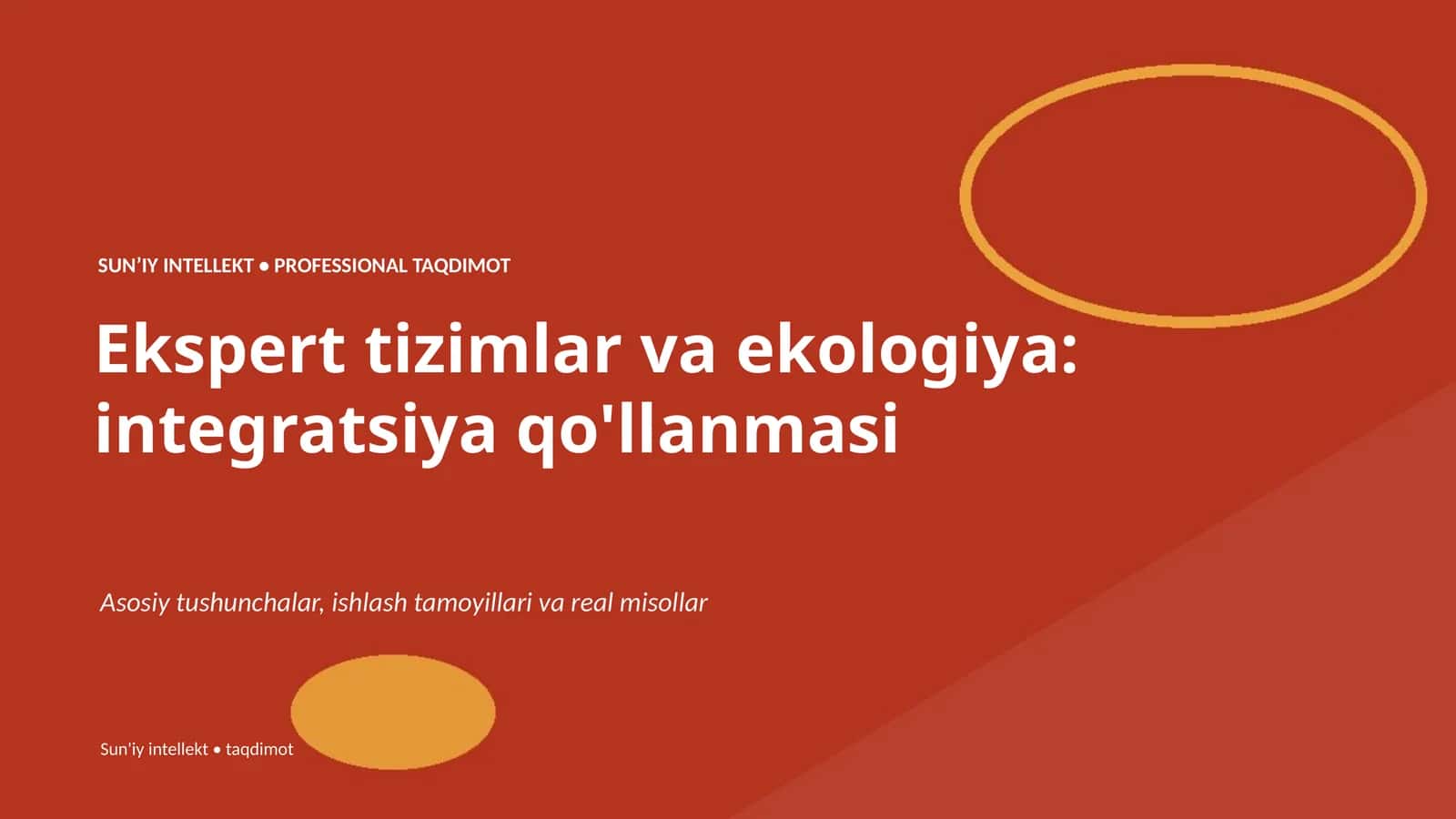 Ekspert tizimlar va ekologiya: integratsiya qo'llanmasi 1