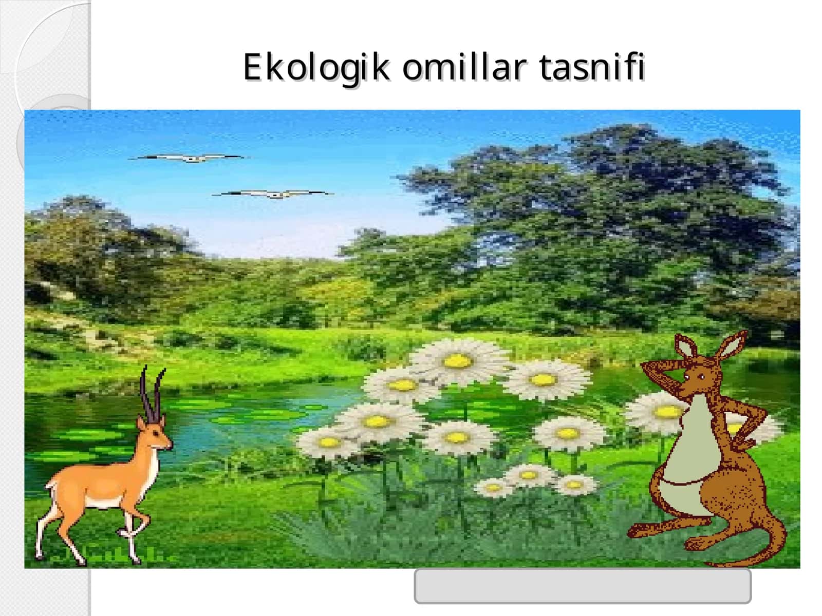 Ekologik omillar tasnifi 1