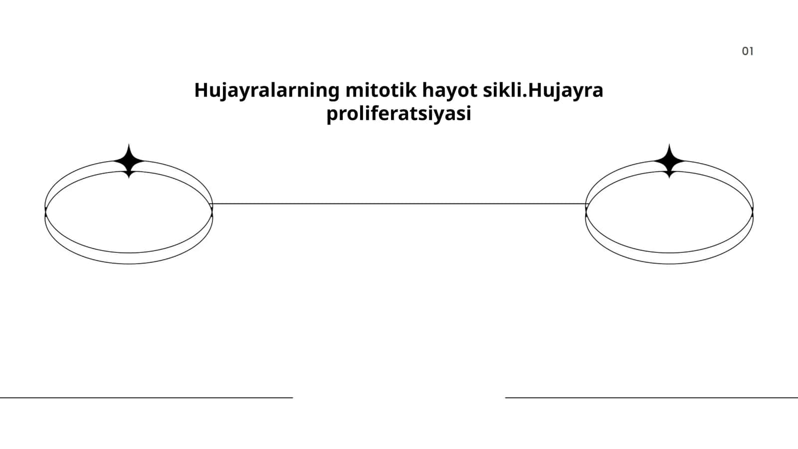 Hujayralarning mitotik hayot sikli.Hujayra proliferatsiyasi 1