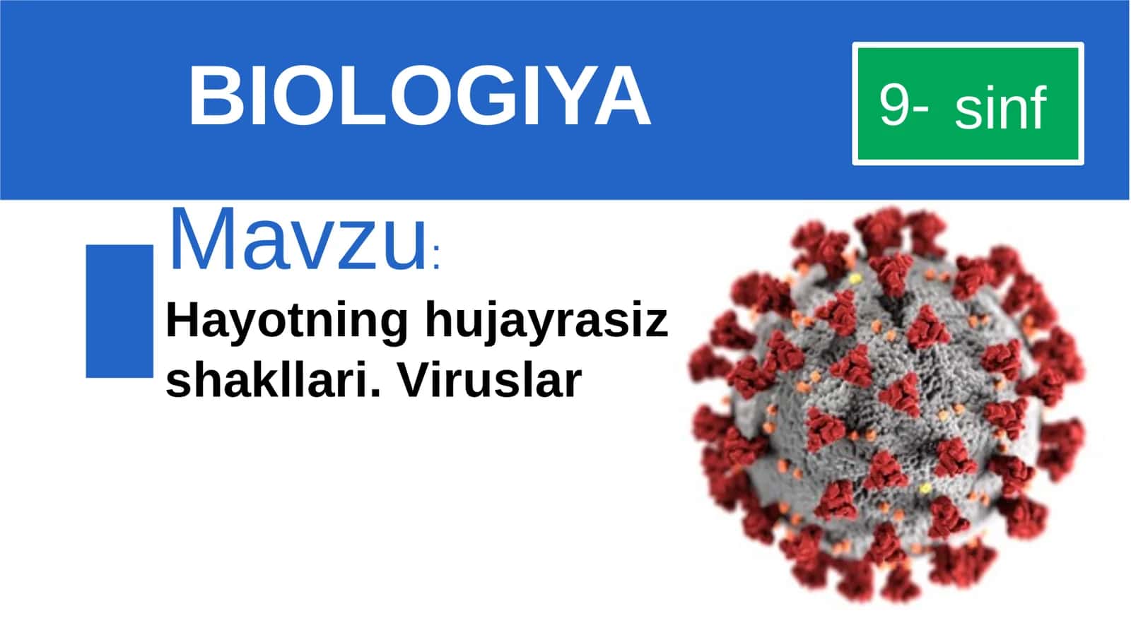 Viruslar 1