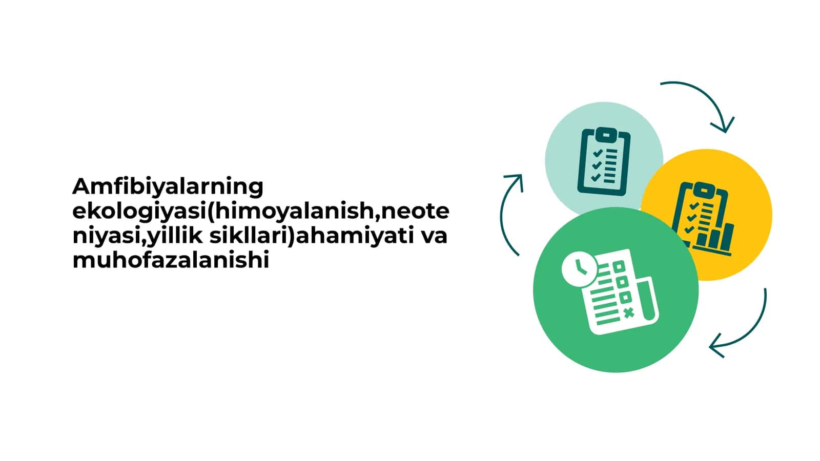 Amfibiyalarning ekologiyasi(himoyalanish,neoteniyasi,yillik sikllari)ahamiyati va muhofazalanishi 1