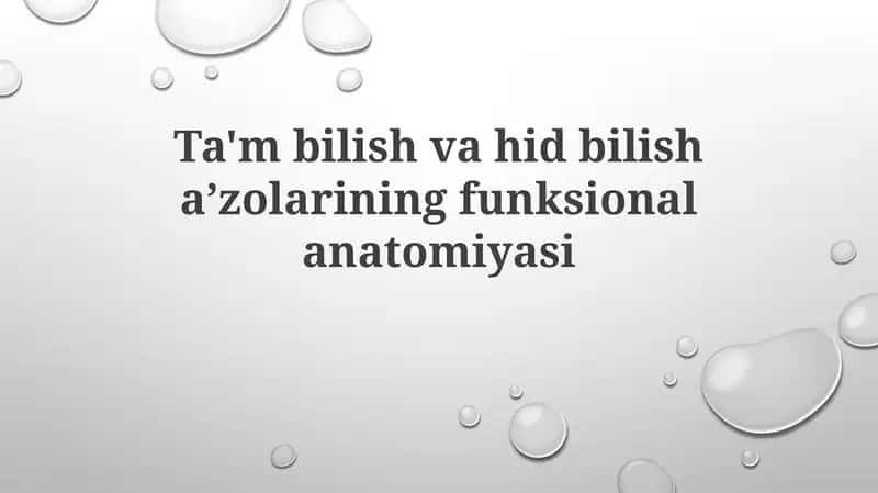 Ta'mbilish va hidbilishazorining funksional anatomiyasi 1