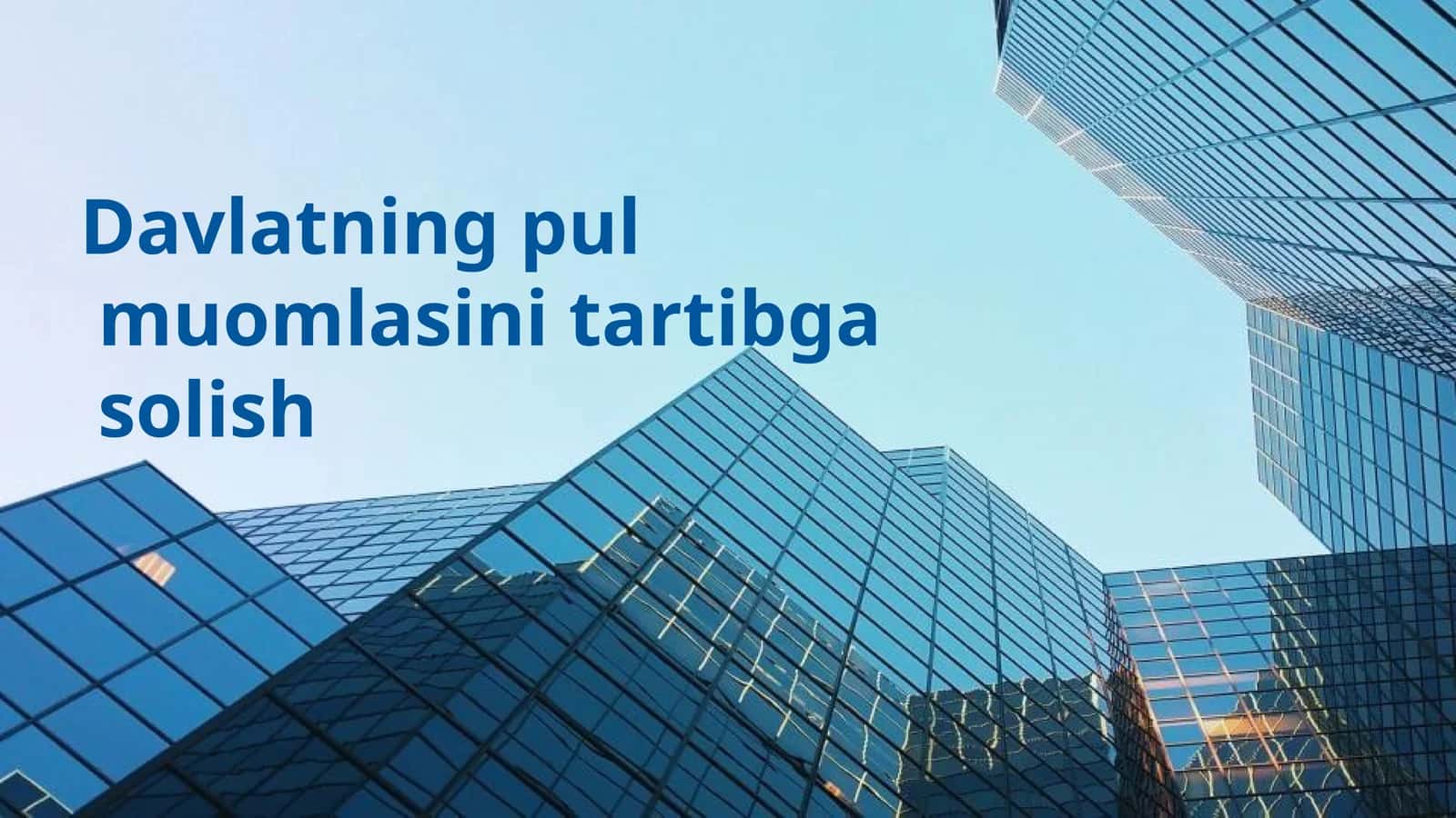 Davlatning pul muomlasini tartibga solish 1
