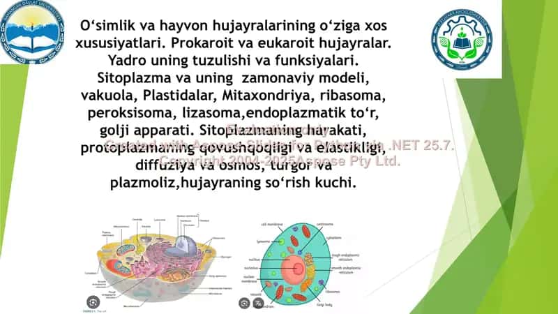 O‘simlik va hayvon hujayralarining tuzilishi va funksiyalari taqdimoti 1