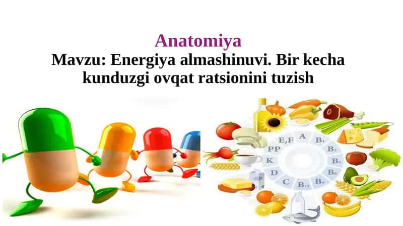 Energiya almashinuvi. Bir kecha kunduzgi ovqat ratsionini tuzish 1