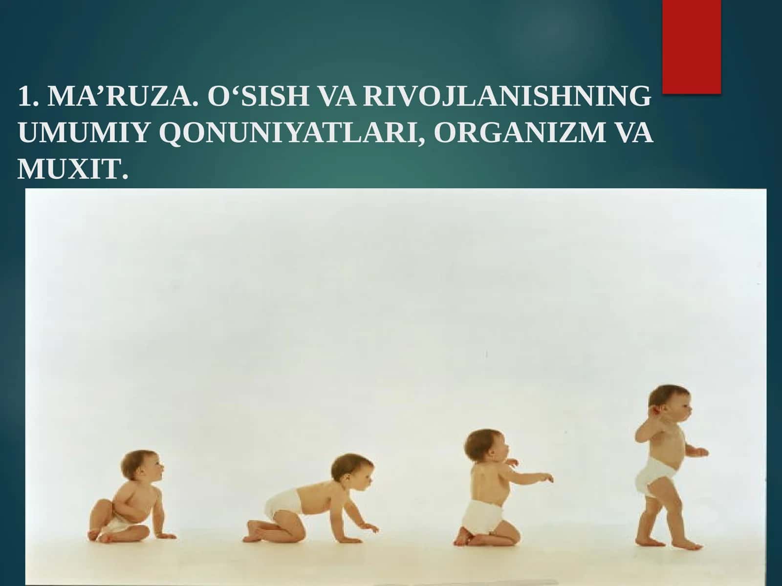 MA’RUZA.O‘SISH VA RIVOJLANISHNING UMUMIY QONUNIYATLARI, ORGANIZM VA MUXIT 1