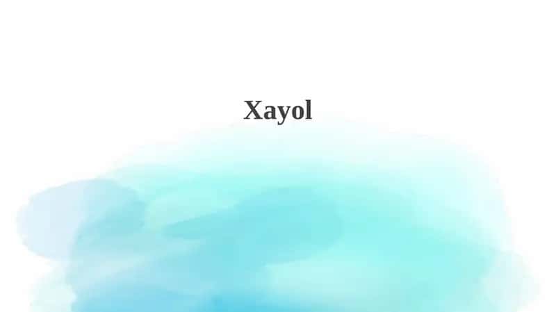 Tasavvur anatomiyasi 1