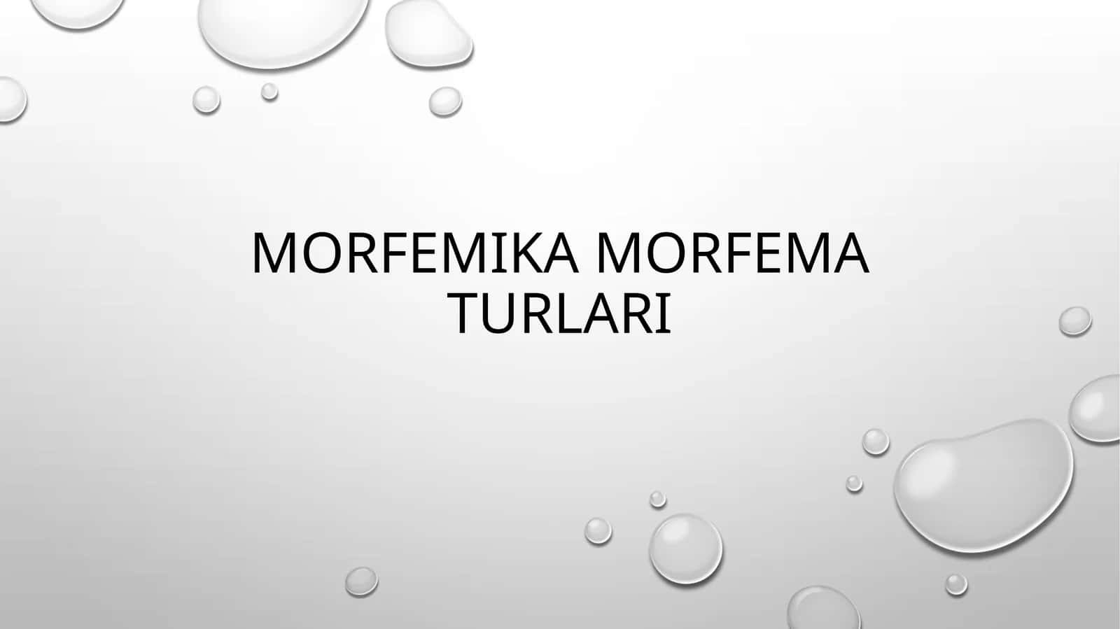 Morfemika morfema turlari 1