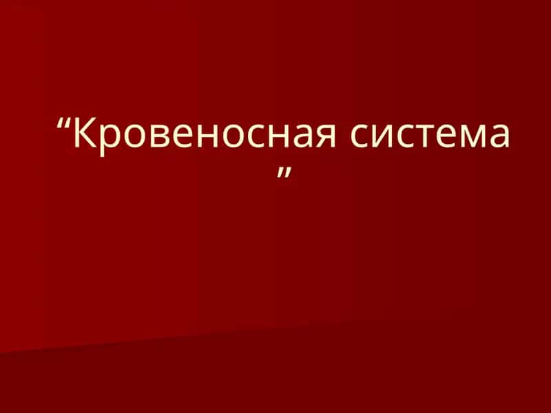 Кровеносная система 1