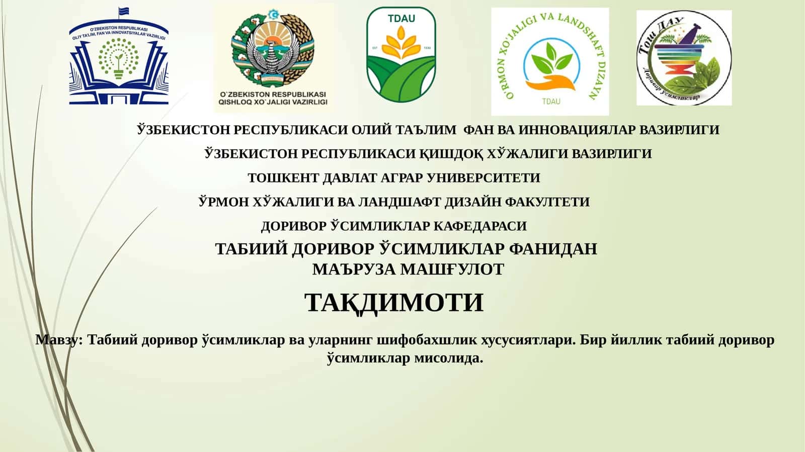 Табиий доривор ўсимликлар ва уларнинг шифобахшлик хусусиятлари. Бир йиллик табиий доривор ўсимликлар мисолида. 1