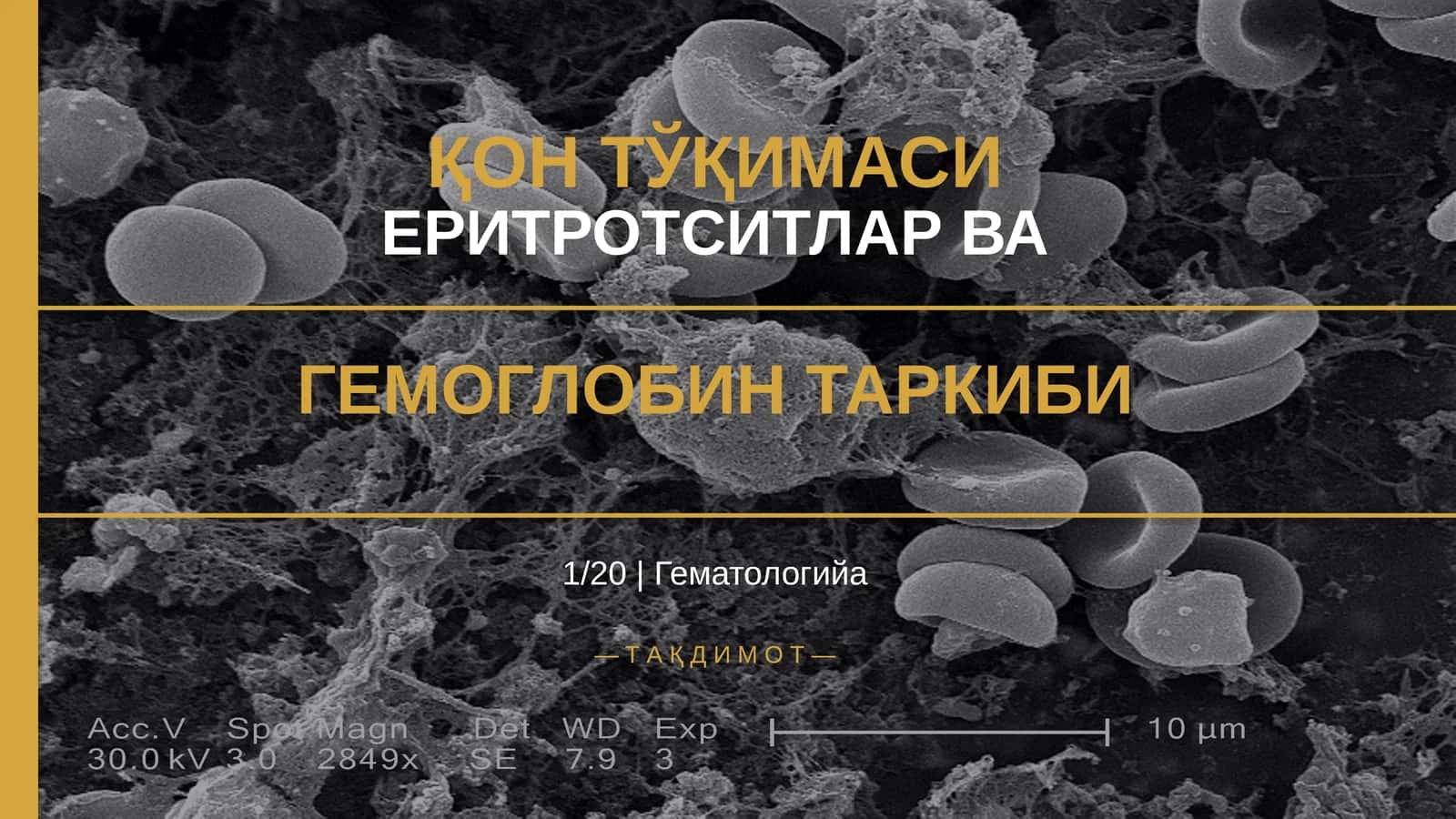 ҚОН ТЎҚИМАСИ 1