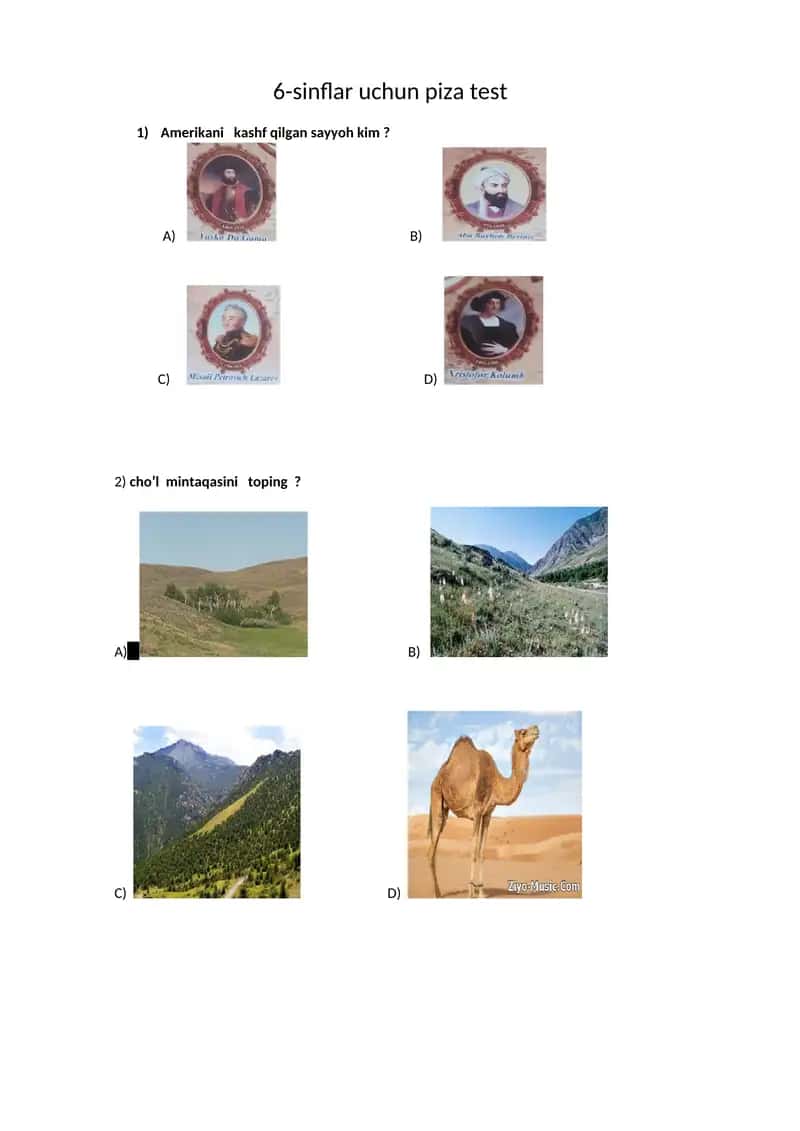 6-sinflar uchun piza test 1