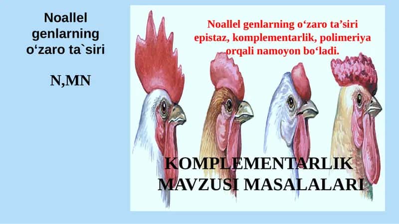 Komplementarlik mavzusi masalalari 1
