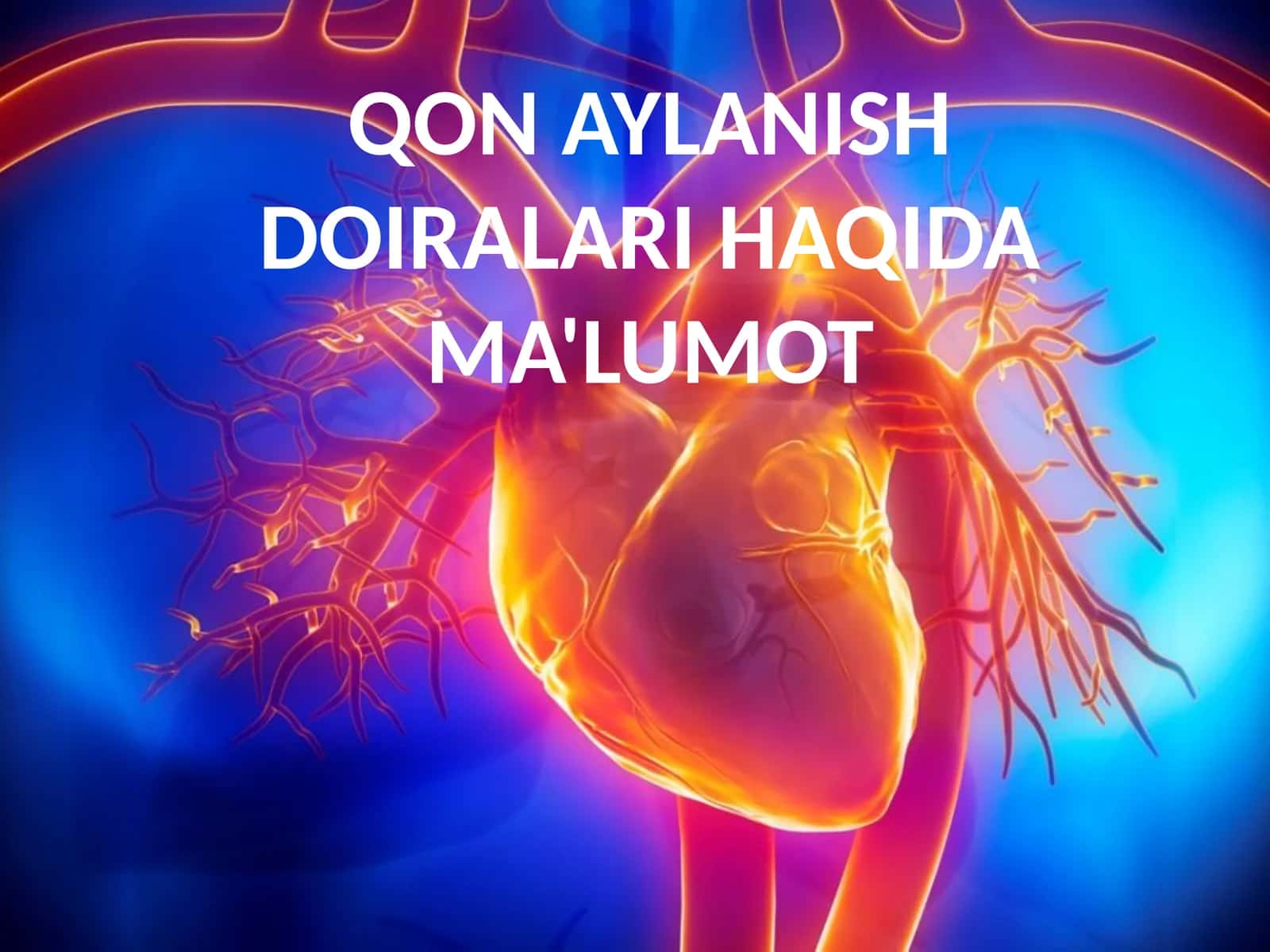 QON AYLANISH DOIRALARI HAQIDA MA'LUMOT 1