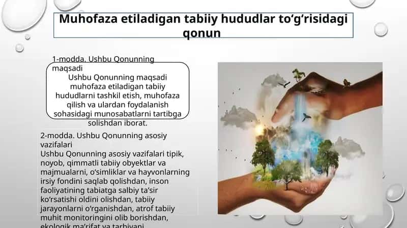 Muhofaza etiladigan tabiiy hududlar to'g'risida qonun 1
