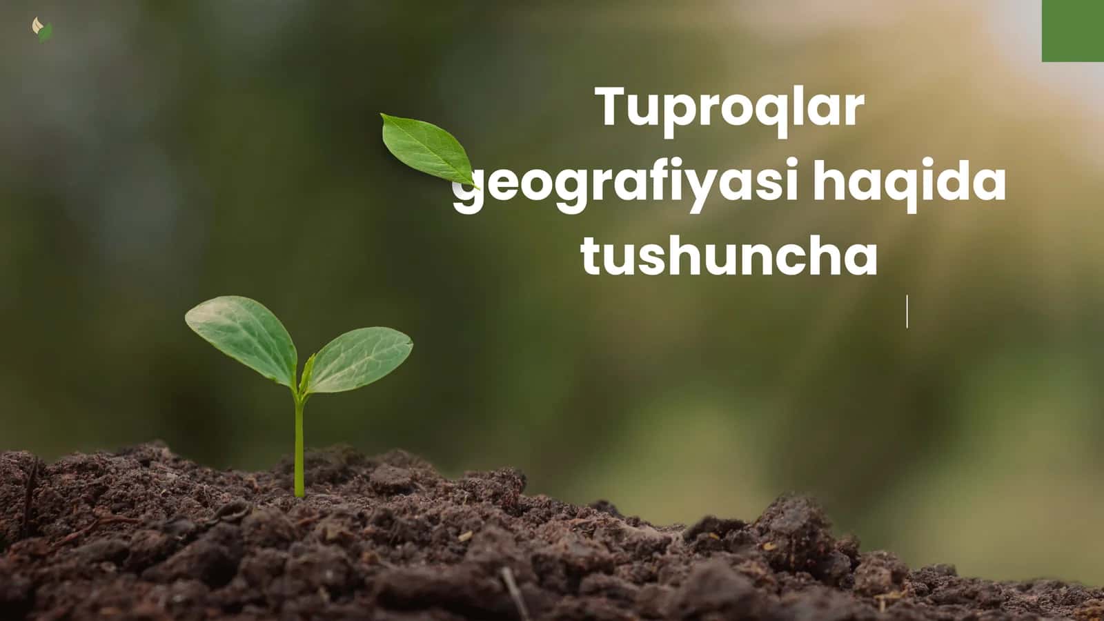 Tuproqlar geografiyasi 1