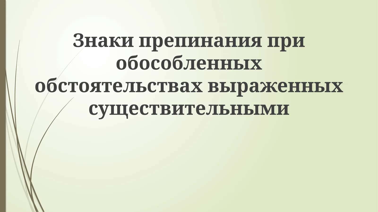 Знаки препинания при обособленных обстоятельствах, выраженных существительными 1