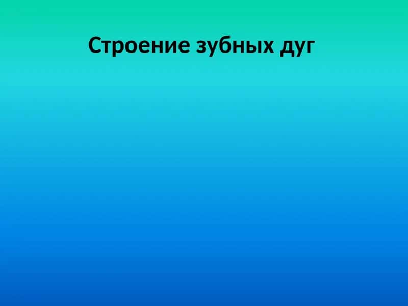 Строение зубных дуг 1
