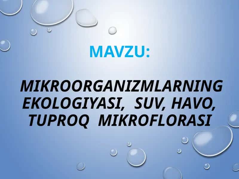MAVZU:

 MIKROORGANIZMLARNING EKOLOGIYASI,  SUV, HAVO, TUPROQ  MIKROFLORASI 1