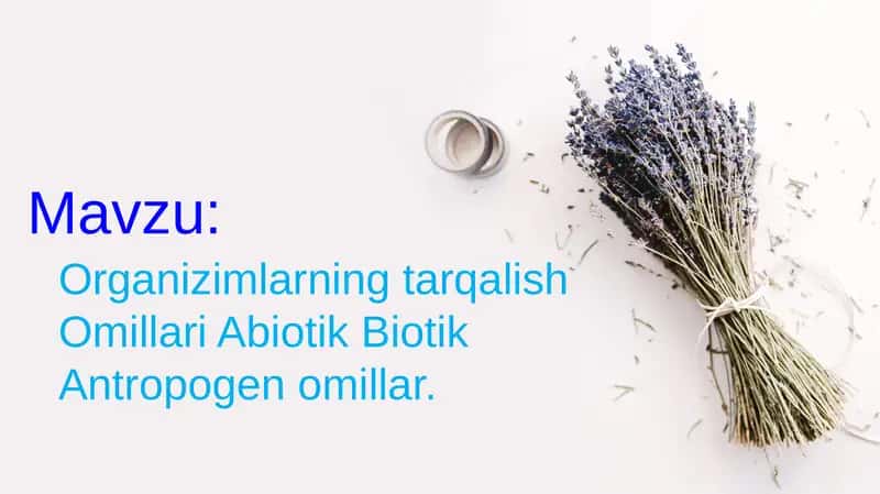 Organizimlarning tarqalish Omillari Abiotik Biotik Antropogen omillar. 1