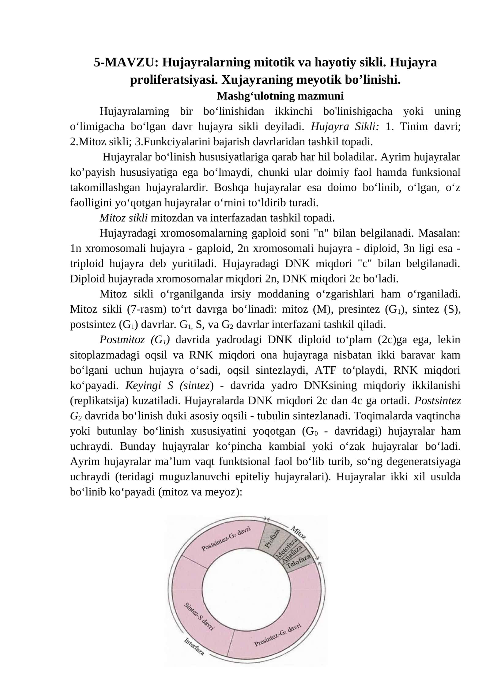 Hujayralarning mitotik va hayotiy sikli. Hujayra proliferatsiyasi. Xujayraning meyotik boʼlinishi 1