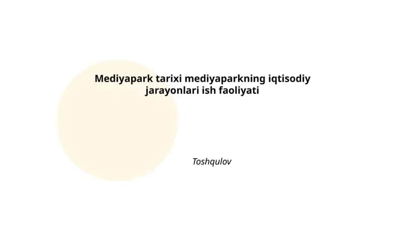 Mediayapark tarixi mediyaparkning iqtisodiy jarayonlari ish faoliyati 1