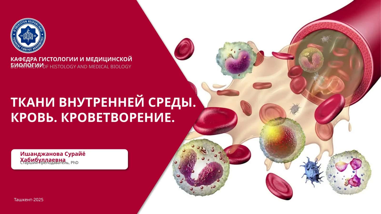 ТКАНИ ВНУТРЕННЕЙ СРЕДЫ.КРОВЬ.КРОВЕТВОРЕНИЕ 1