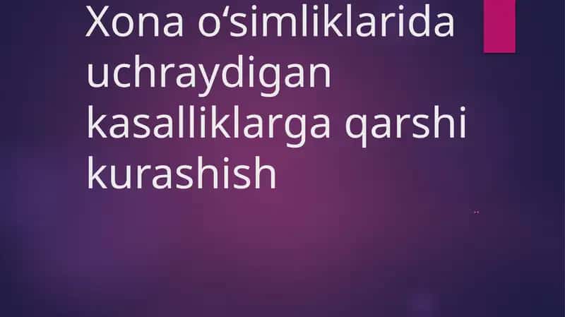 Xona o‘simliklarida uchraydigan kasalliklarga qarshi kurashish 1
