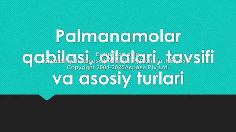 Palmanamolar qabilasi 1