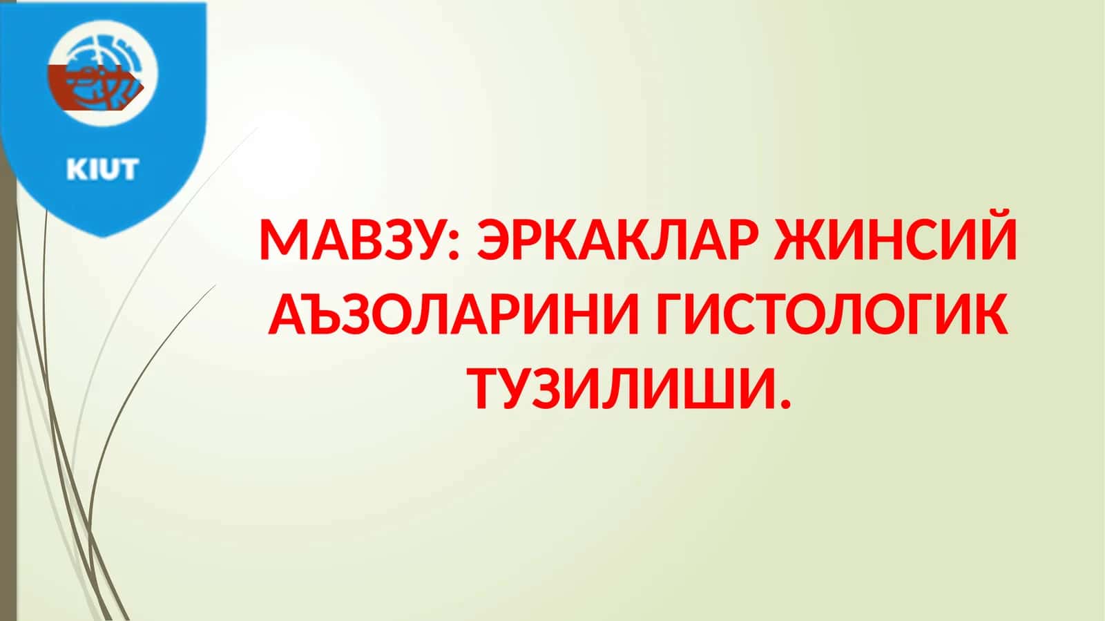ЭРКАКЛАР ЖИНСИЙ АЪЗОЛАРИНИ ГИСТОЛОГИК ТУЗИЛИШИ 1