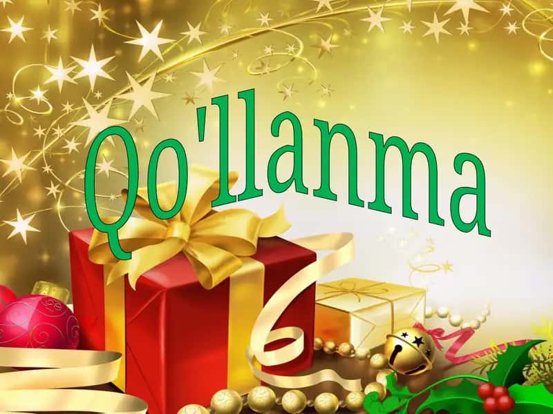 Qo'llanma 1