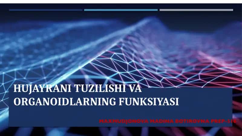 Hujayrani tuzilishi va organoidlarning funksiyasi 1