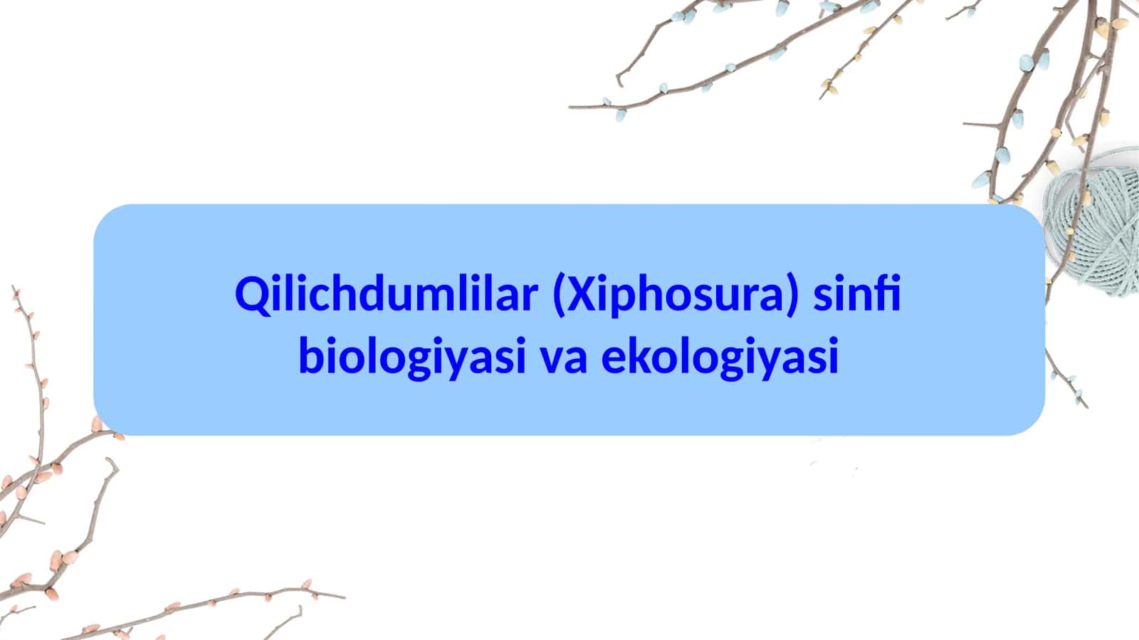 Qilich dumlilar (Xiphosura) sinfi biologiyasi va ekologiyasi 1