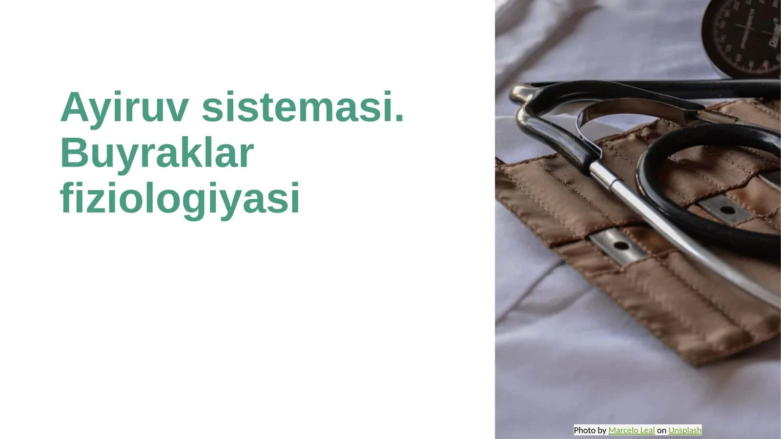 Ayiruv sistemasi. Buyraklar fiziologiyasi 1