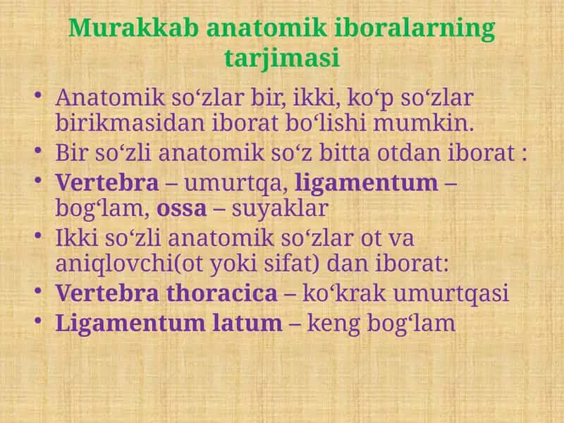 Murakkab anatomik iboralarning tarjimasi 1